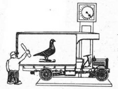 增强小孩逻辑推理:经典物理：车箱内的鸟保持飞行状态，