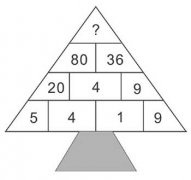 逻辑思维提升奥数方式 :树冠顶端问号处的数字是多少？