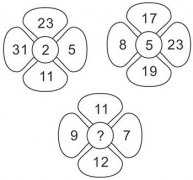 逻辑增强奥数赛题 :花瓣上的数字（二）