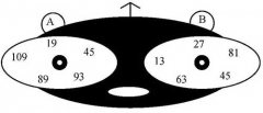 小孩数字逻辑思维 :奇异空间