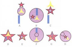 特殊图形推理题之C图形对应哪个选项?