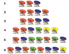 图形推理题可以开发大脑之蚂蚁队列